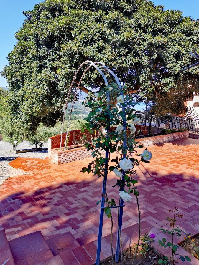 Villa Verde Cefalú Exterior foto